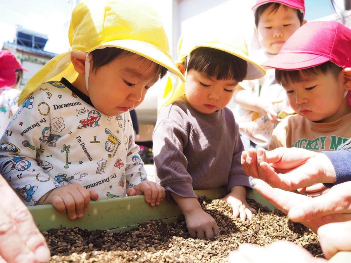 カンガルーくらぶ ひよこ組