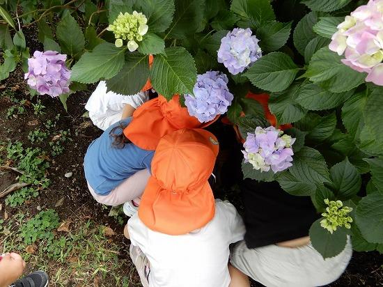 子育て支援　コアラクラブ