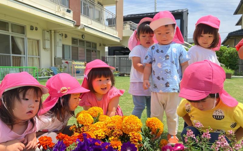 社会福祉法人わかみや福祉会 入船北保育園