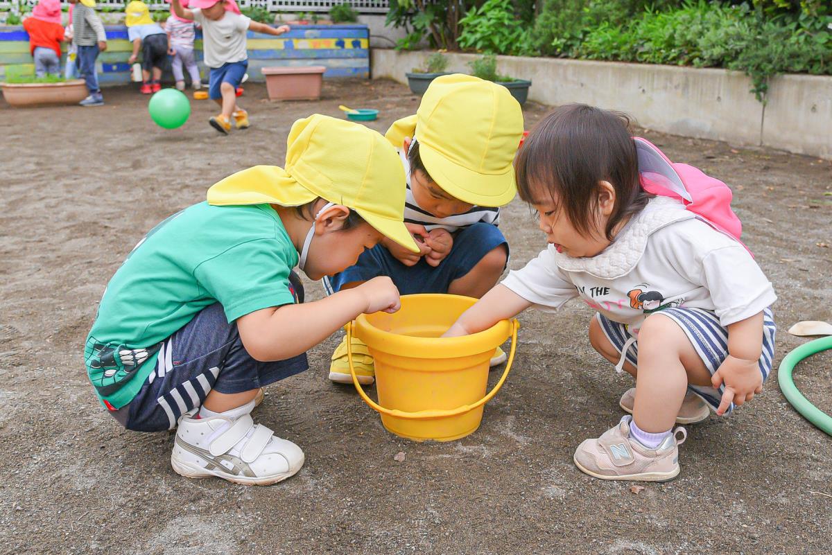 春チューリップ